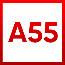 CPU A55