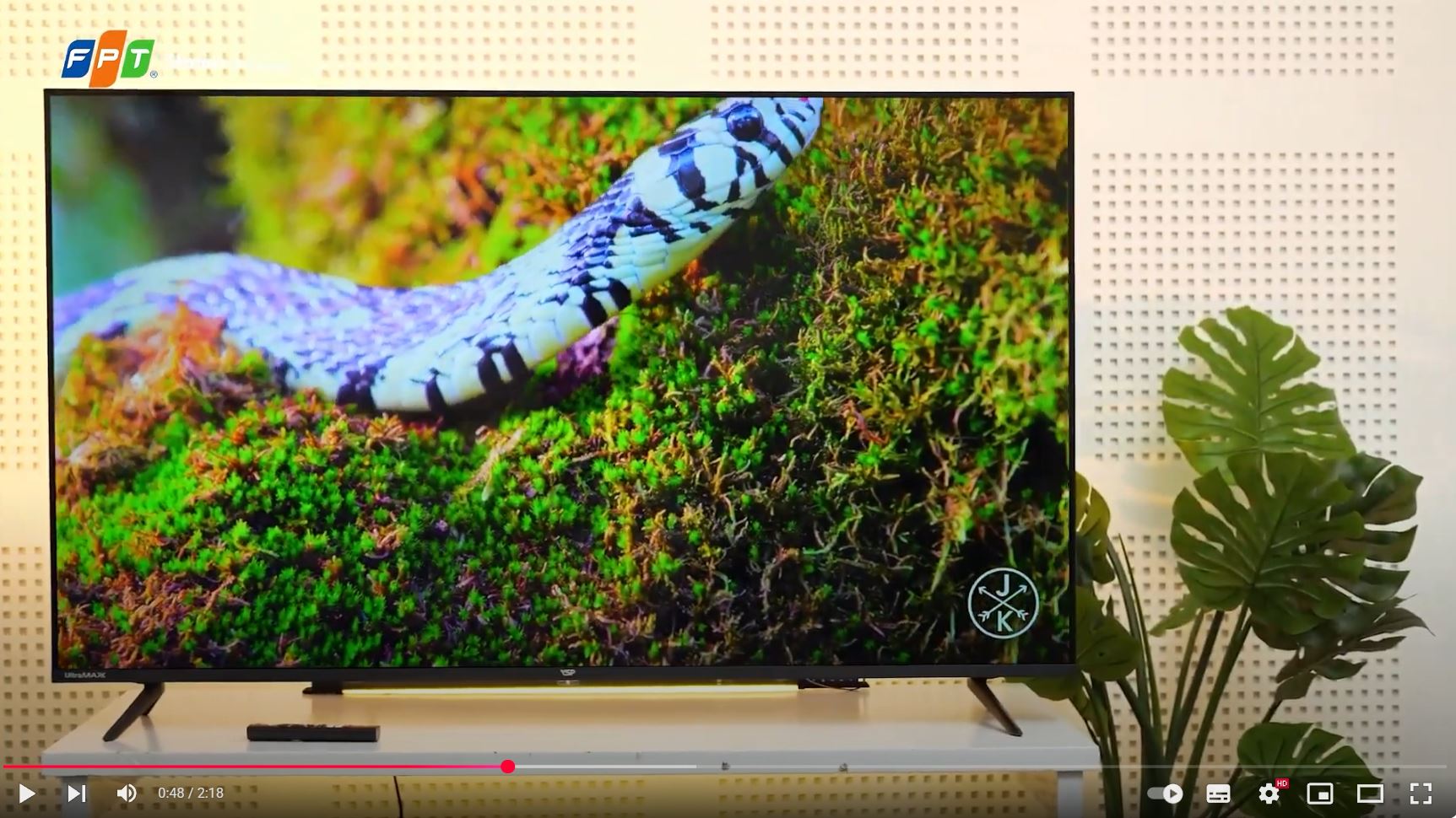 Cùng VSP Khám Phá VSP Android TV 55 inch 4K VUB55AUU01 Smart TV 4K Siêu Nét, Kết Nối Không Giới Hạn