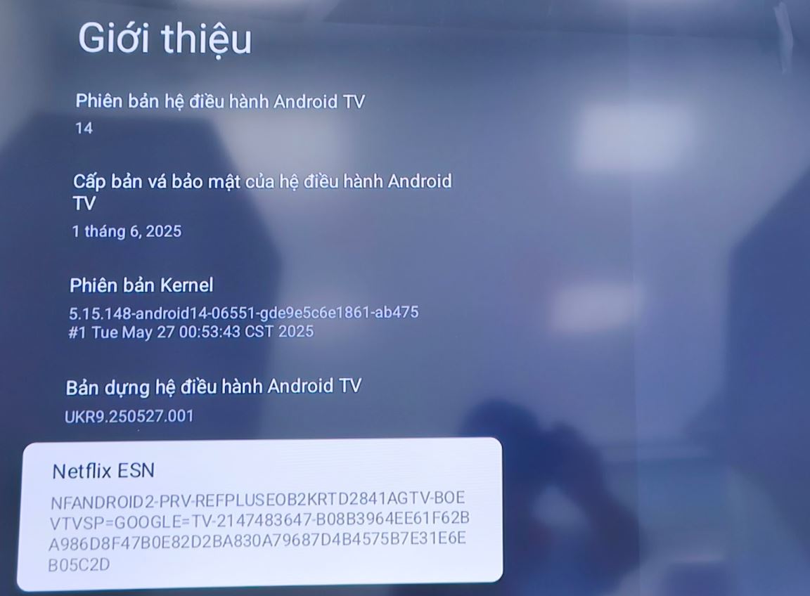 Cách kiểm tra phiên bản hệ điều hành của Android TV/Google TV.