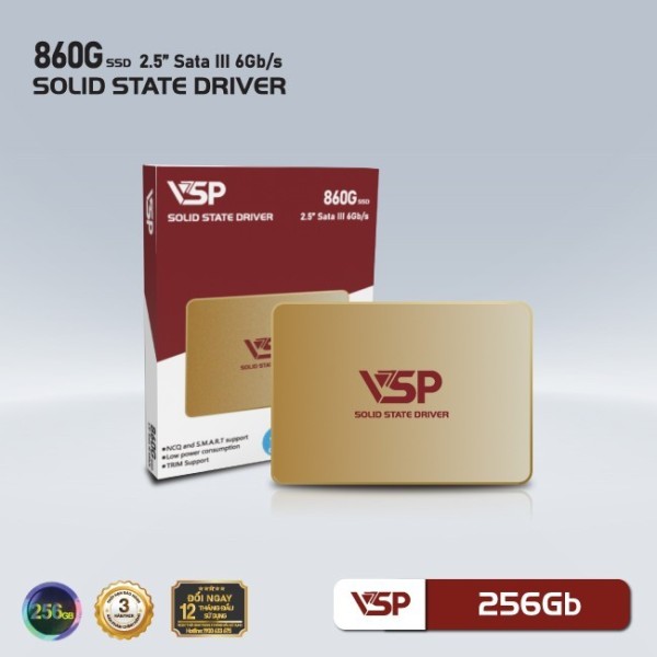 Ổ Cứng SSD VSP 860G 256GB