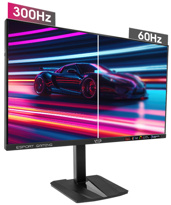 VSP Gaming G2530S3 - Fast IPS - 300Hz