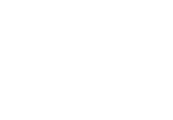 icon - 1ms